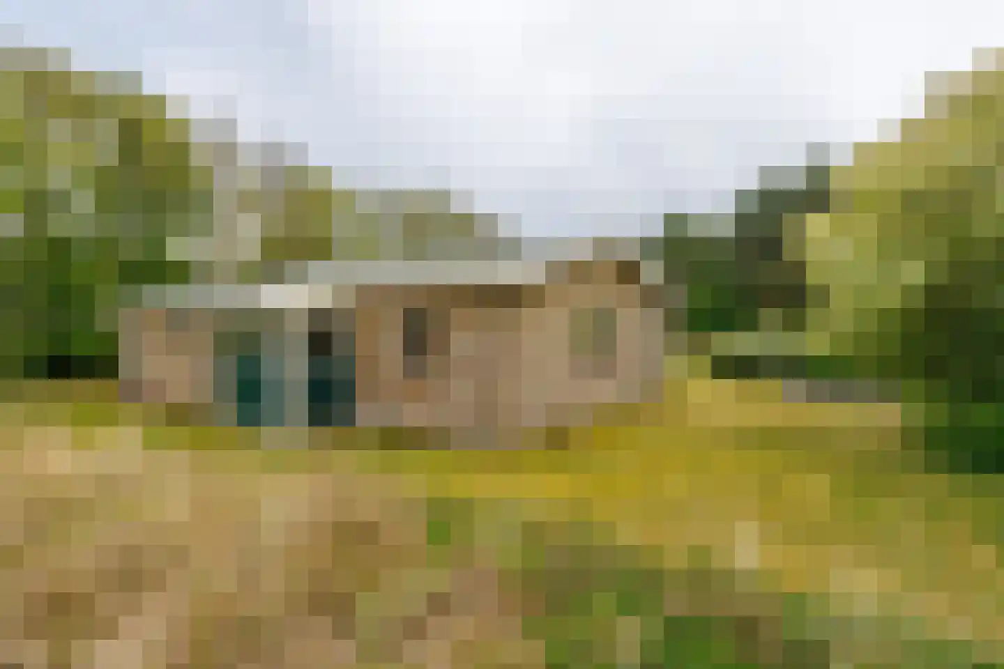 Meeuwenveld 143 Ballum thumbnail 23