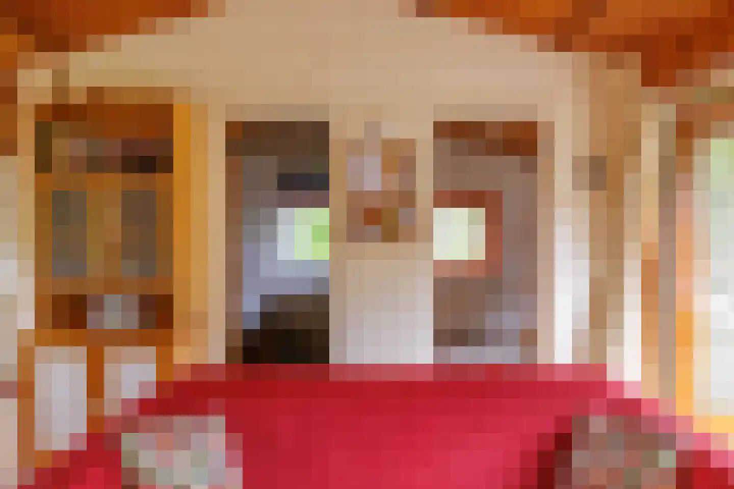 Meeuwenveld 143 Ballum thumbnail 27