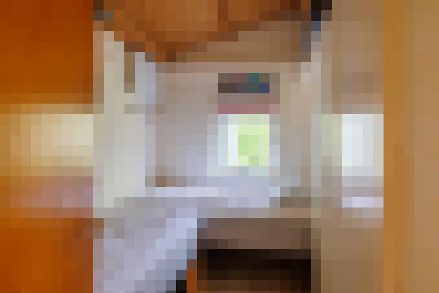 Meeuwenveld 143 Ballum thumbnail 29