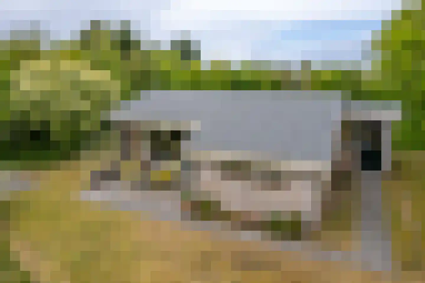 Meeuwenveld 143 Ballum thumbnail 35