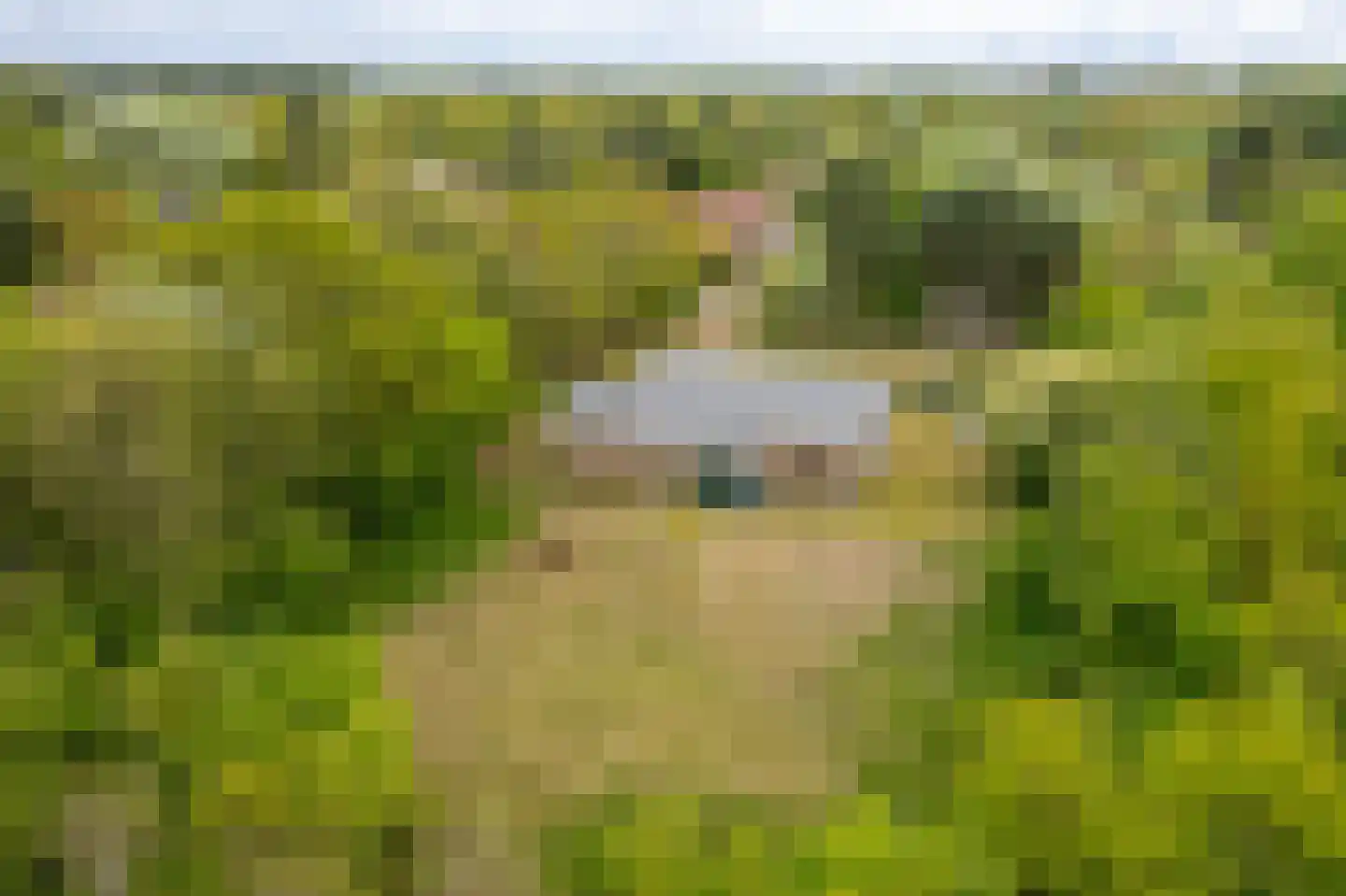 Meeuwenveld 143 Ballum thumbnail 36