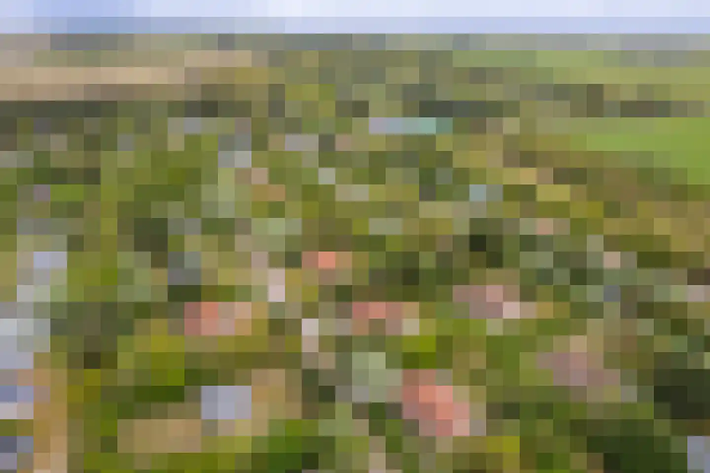 Meeuwenveld 143 Ballum thumbnail 37