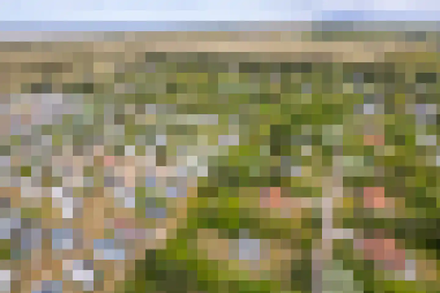 Meeuwenveld 143 Ballum thumbnail 38