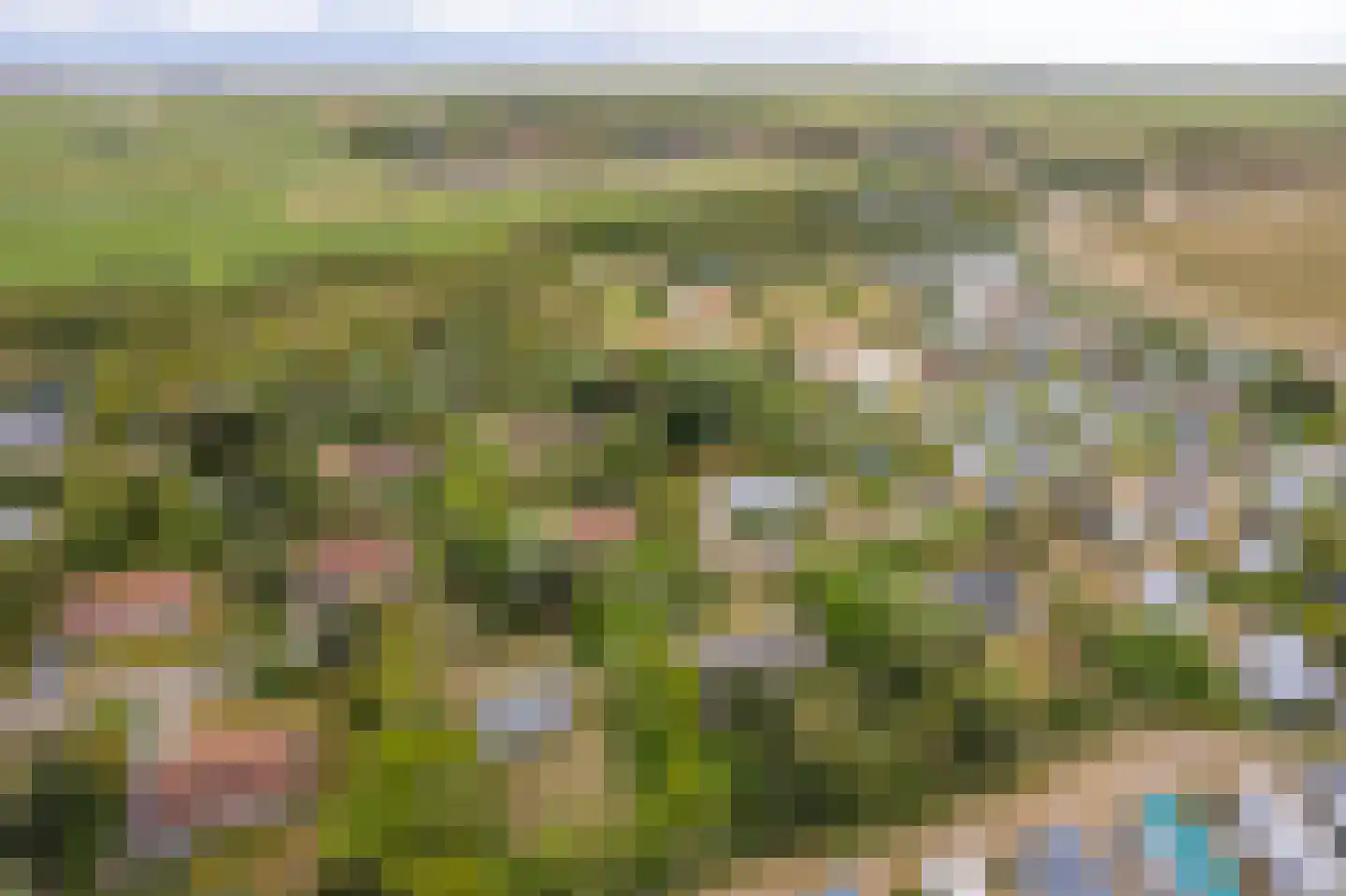 Meeuwenveld 143 Ballum thumbnail 40