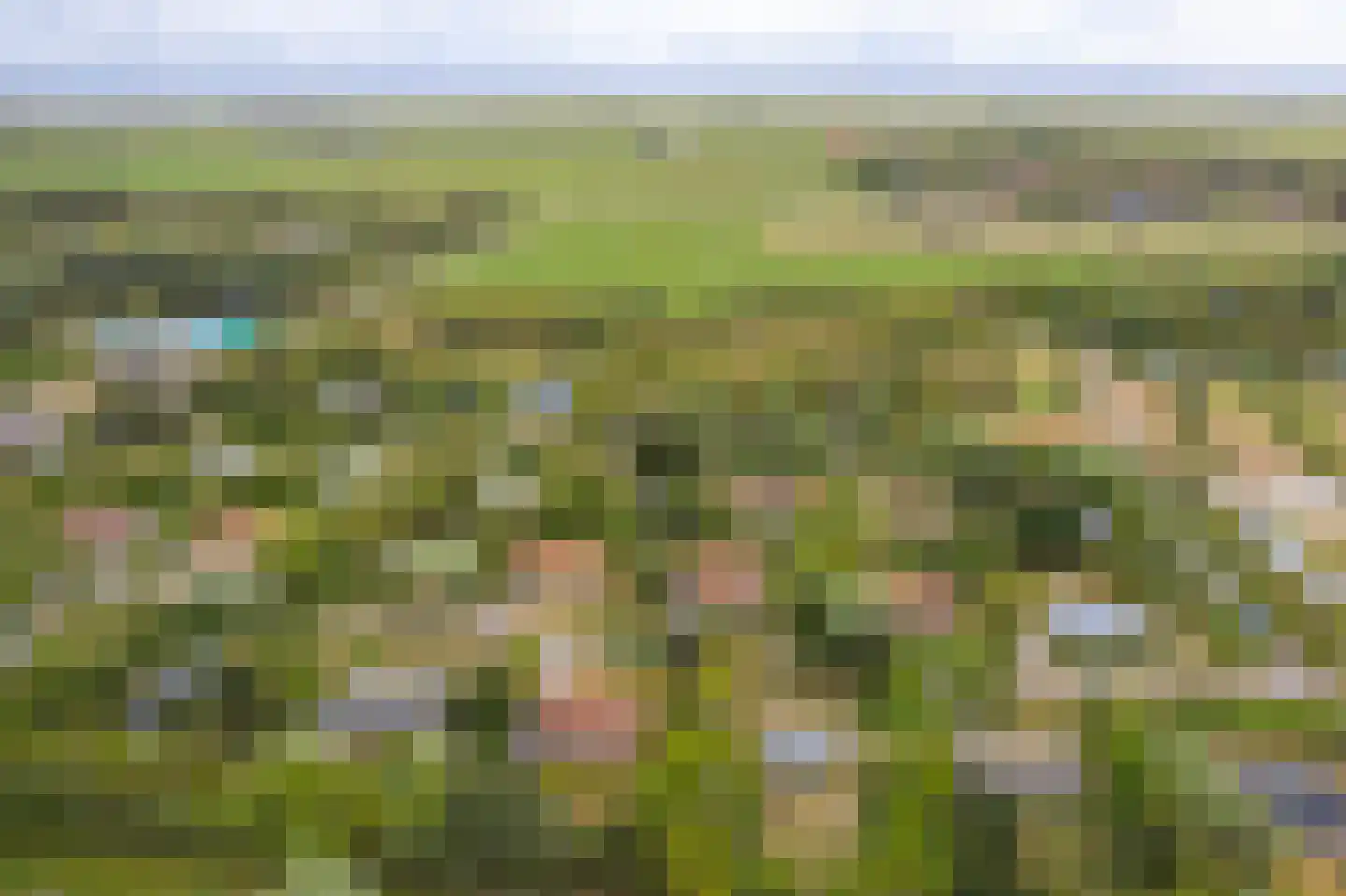 Meeuwenveld 143 Ballum thumbnail 41