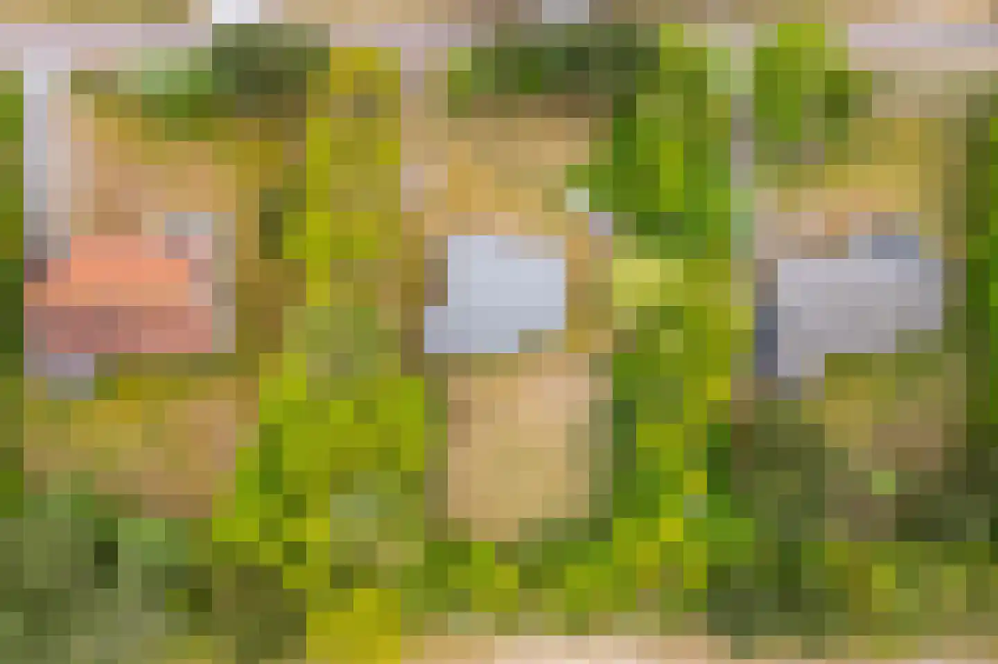 Meeuwenveld 143 Ballum thumbnail 42