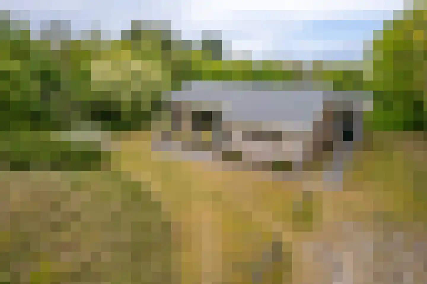 Meeuwenveld 143 Ballum thumbnail 6