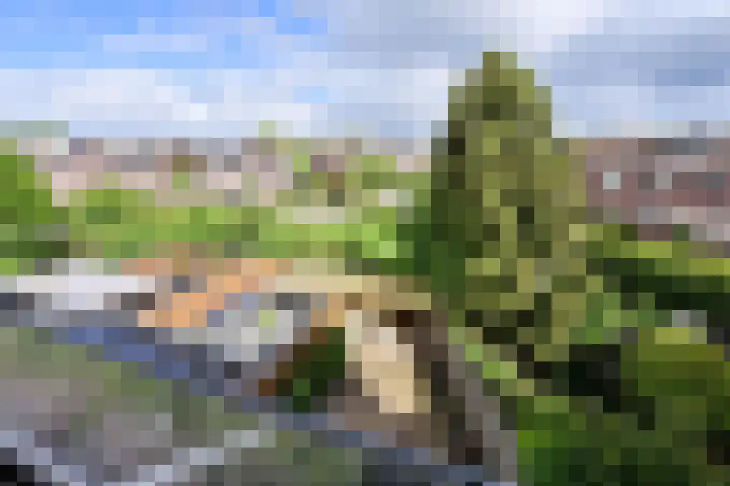 Meeuwenveld 15 Weesp thumbnail 12