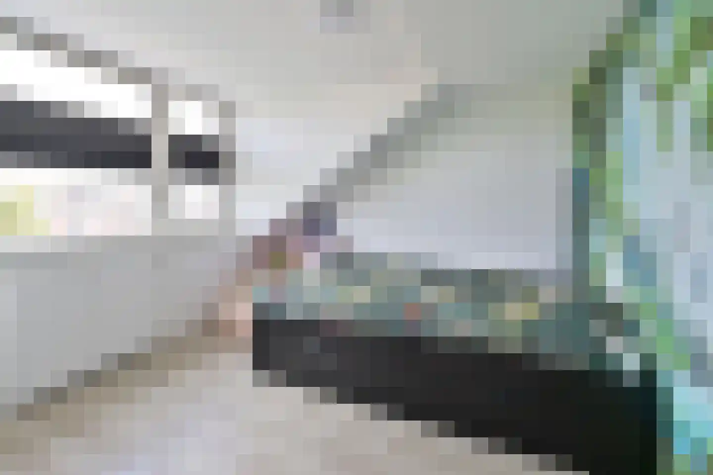 Meeuwenveld 15 Weesp thumbnail 15