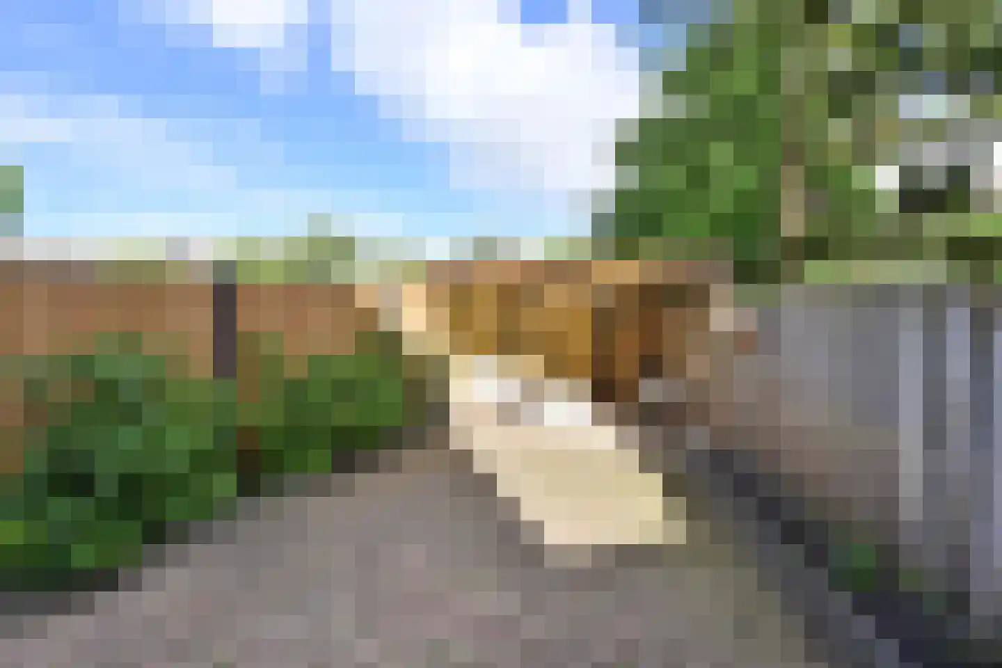 Meeuwenveld 15 Weesp thumbnail 7