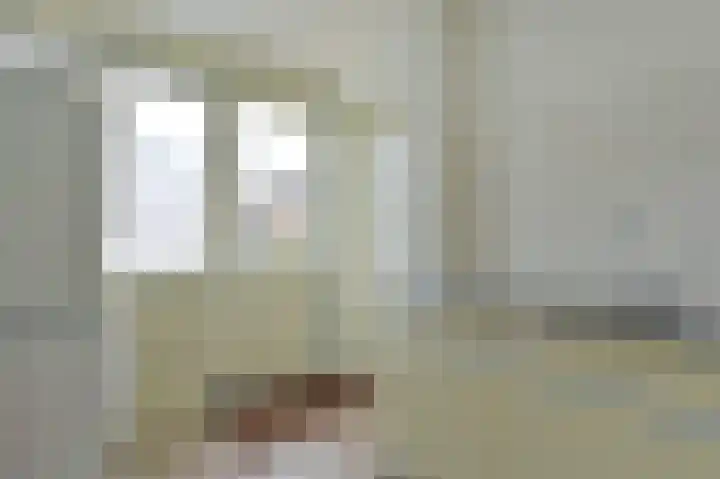 Meeuwenveld 16 Nieuwveen thumbnail 11