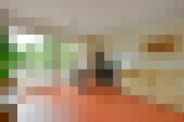 Meeuwenveld 16 Nieuwveen thumbnail 14