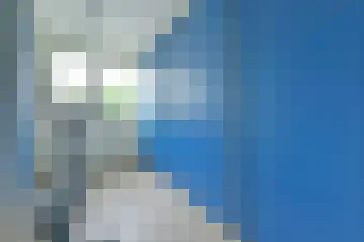 Meeuwenveld 16 Nieuwveen thumbnail 21