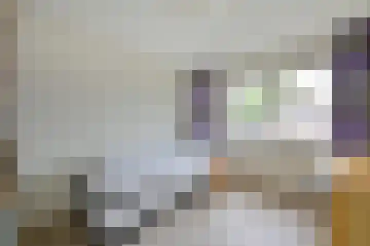 Meeuwenveld 16 Nieuwveen thumbnail 22