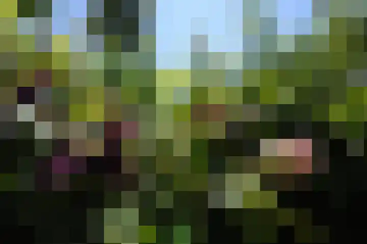 Meeuwenveld 16 Nieuwveen thumbnail 25