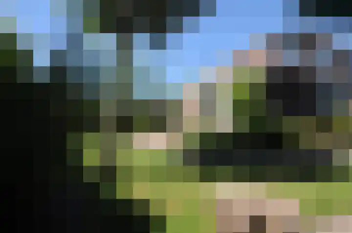 Meeuwenveld 16 Nieuwveen thumbnail 26