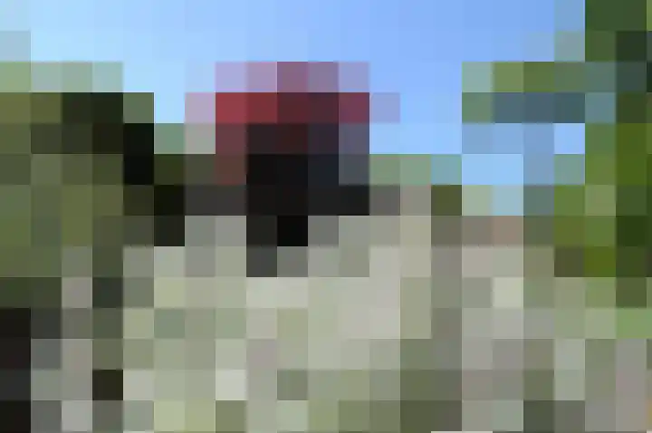 Meeuwenveld 16 Nieuwveen thumbnail 27