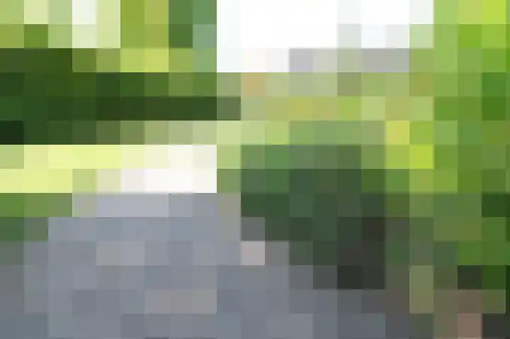 Meeuwenveld 16 Nieuwveen thumbnail 28