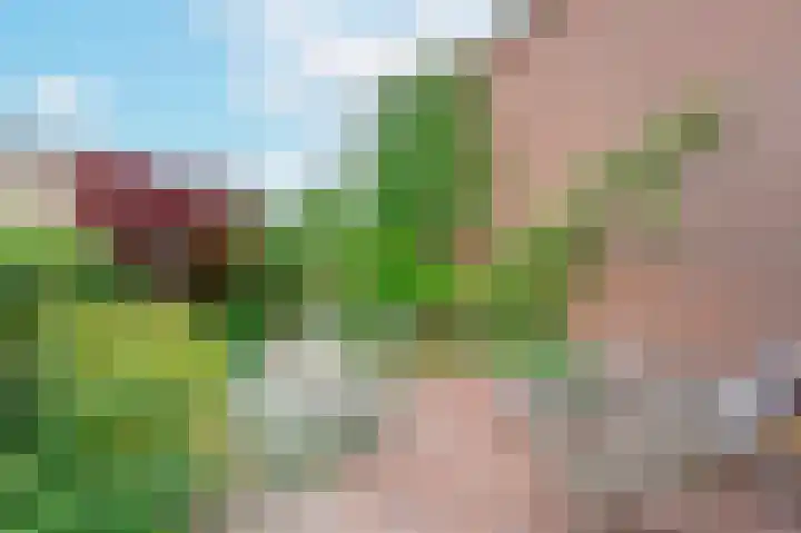 Meeuwenveld 16 Nieuwveen thumbnail 29