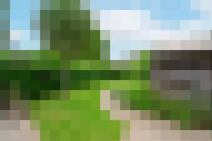 Meeuwenveld 16 Nieuwveen thumbnail 32