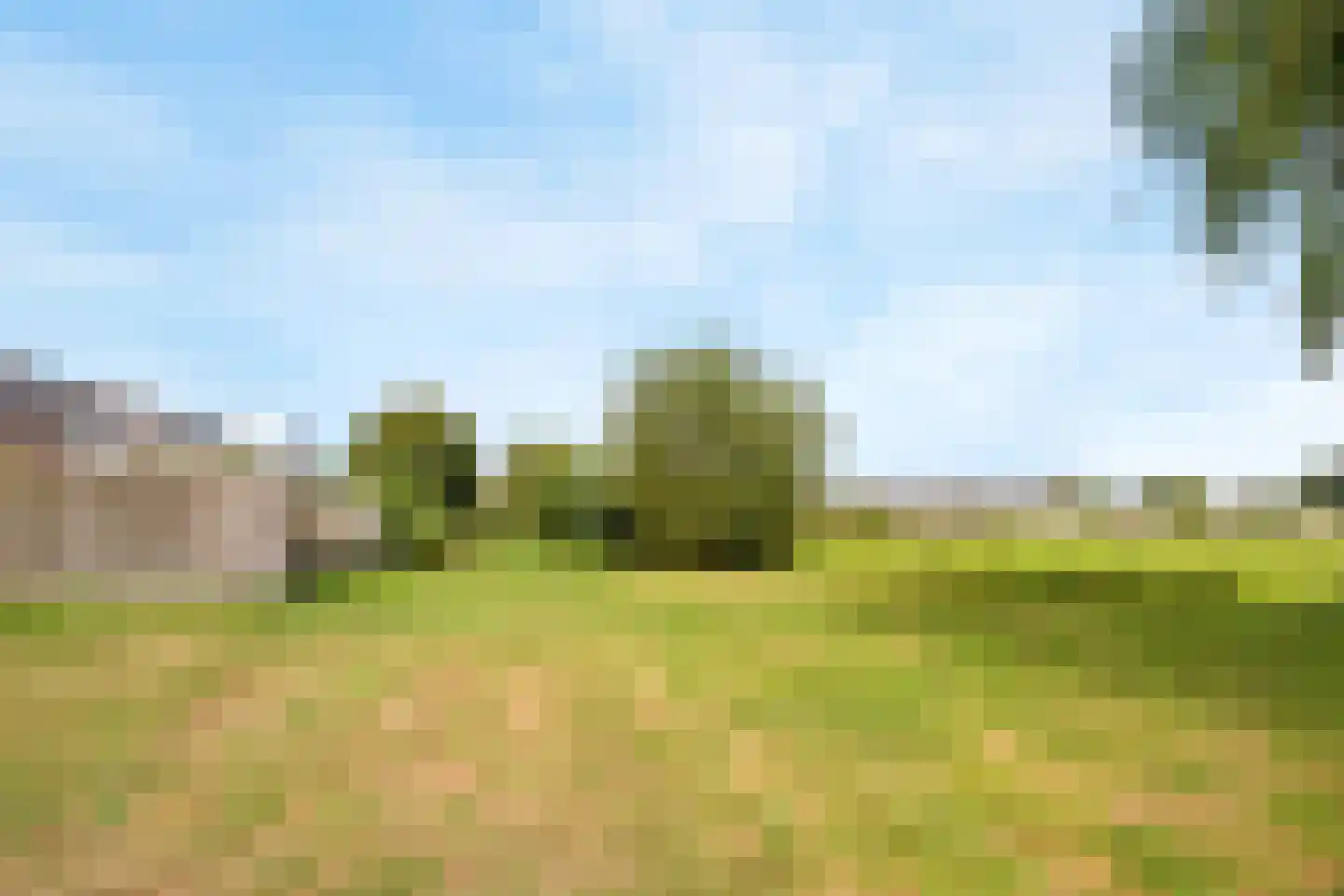 Meeuwenveld 78 Weesp thumbnail 25