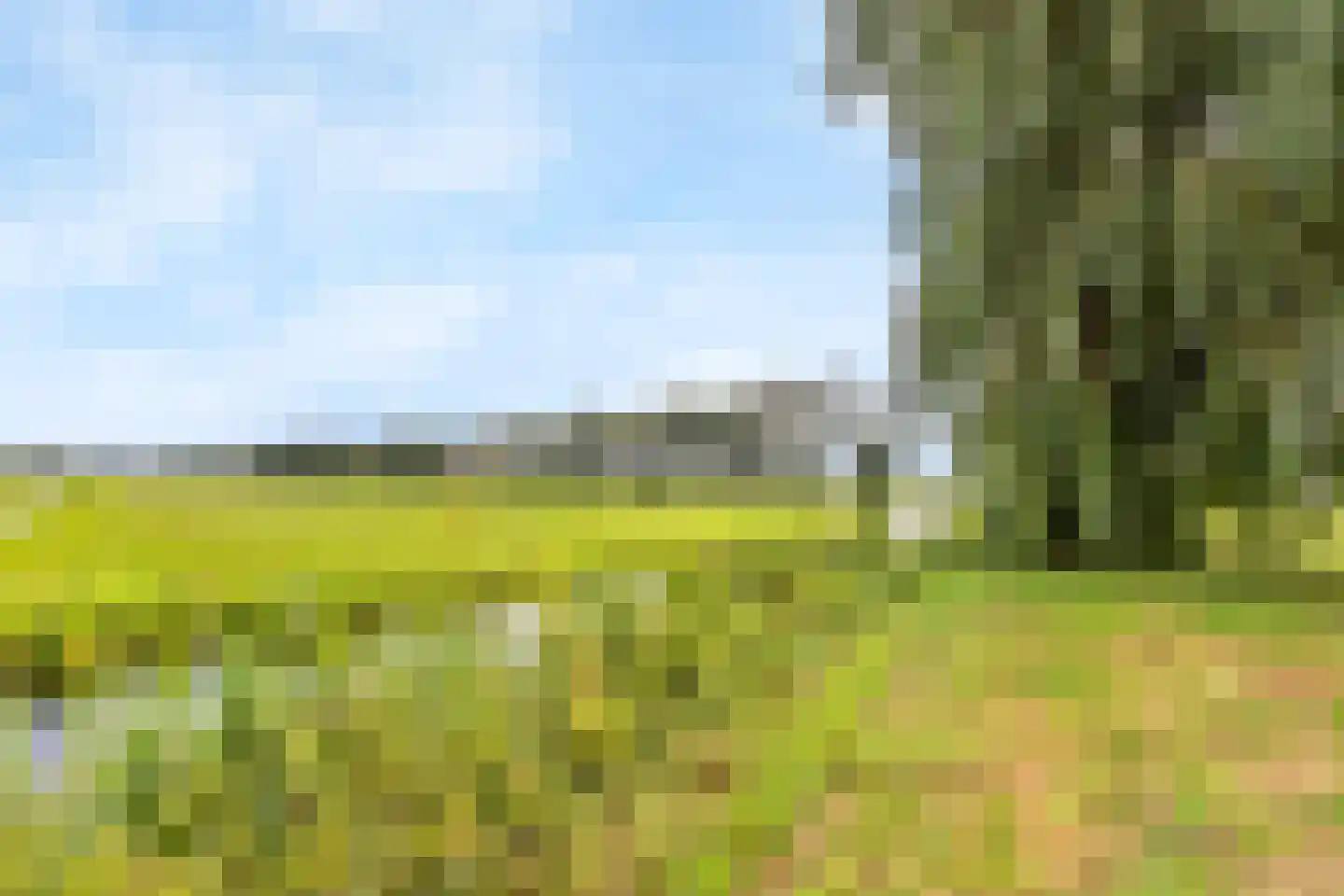 Meeuwenveld 78 Weesp thumbnail 26