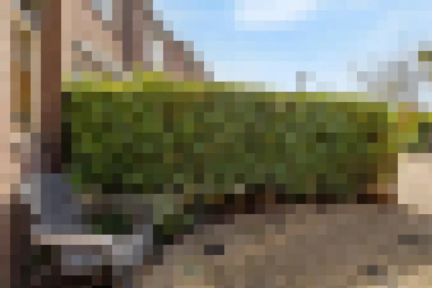 Meeuwenveld 78 Weesp thumbnail 7