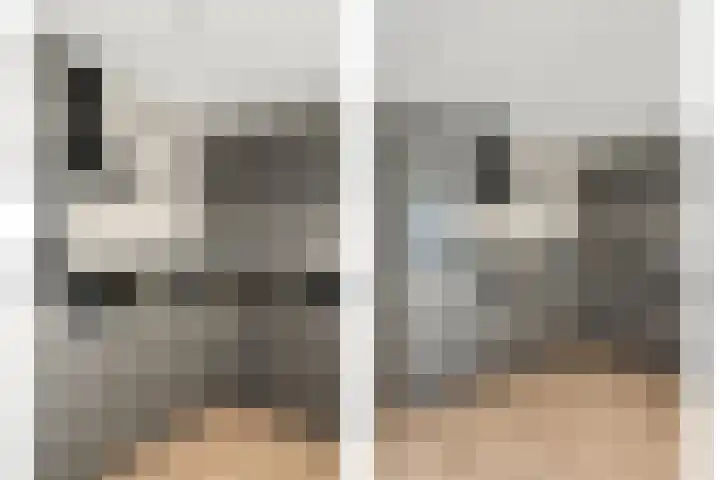 Meeuwenweg 1 02 Kampen thumbnail 13