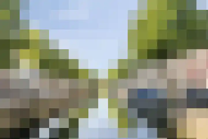 Meeuwenweg 1 02 Kampen thumbnail 32