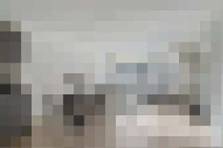 Meeuwenweg 1 02 Kampen thumbnail 4