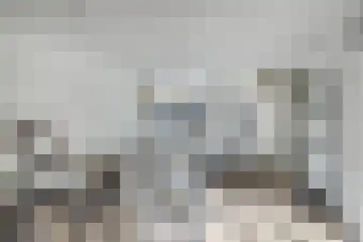 Meeuwenweg 1 02 Kampen thumbnail 5