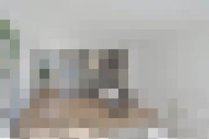 Meeuwenweg 1 02 Kampen thumbnail 7