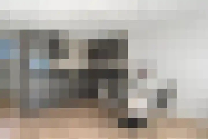 Meeuwenweg 1 02 Kampen thumbnail 9