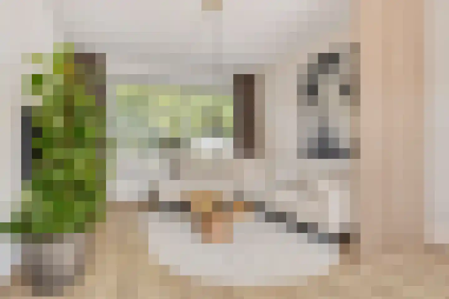Meeuwenweg 1 Goes thumbnail 11