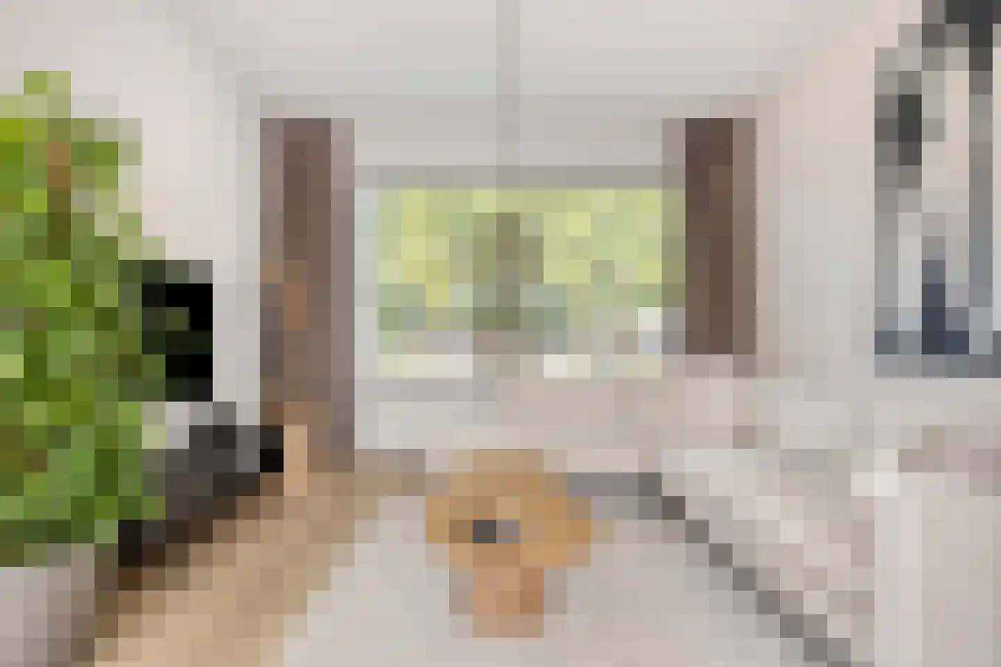 Meeuwenweg 1 Goes thumbnail 12