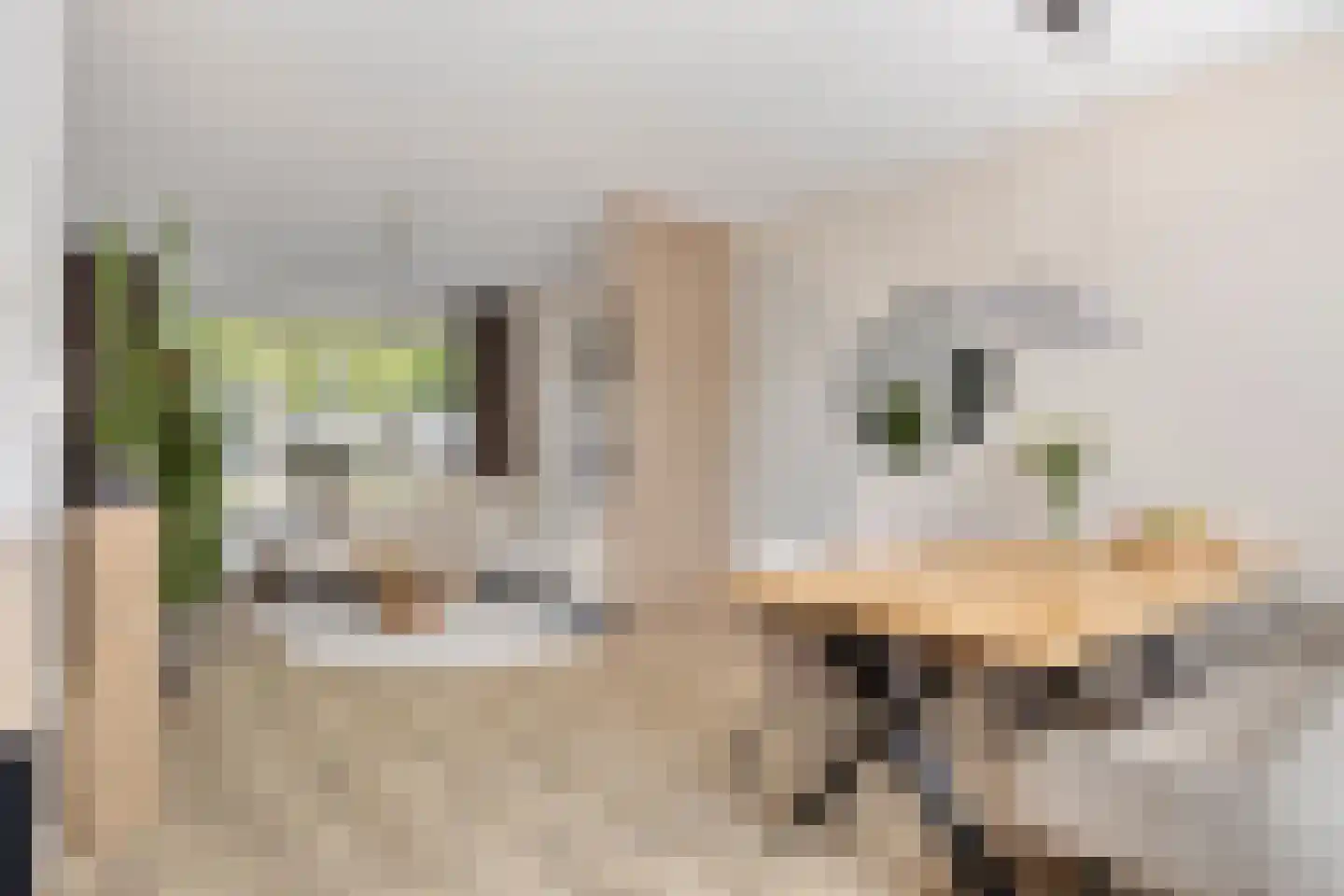 Meeuwenweg 1 Goes thumbnail 14