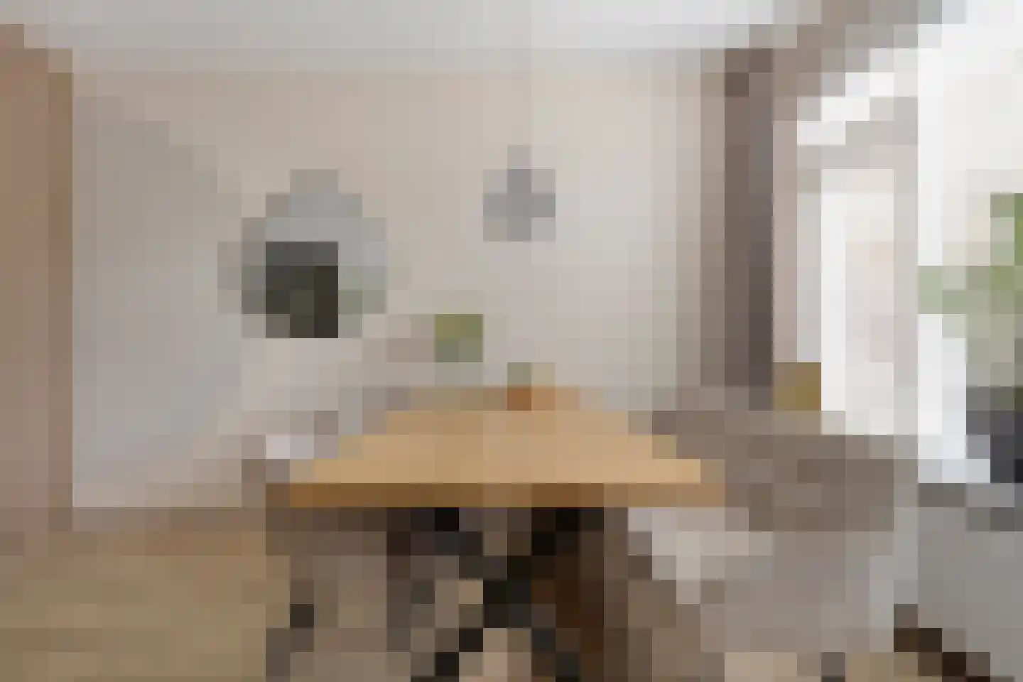 Meeuwenweg 1 Goes thumbnail 16