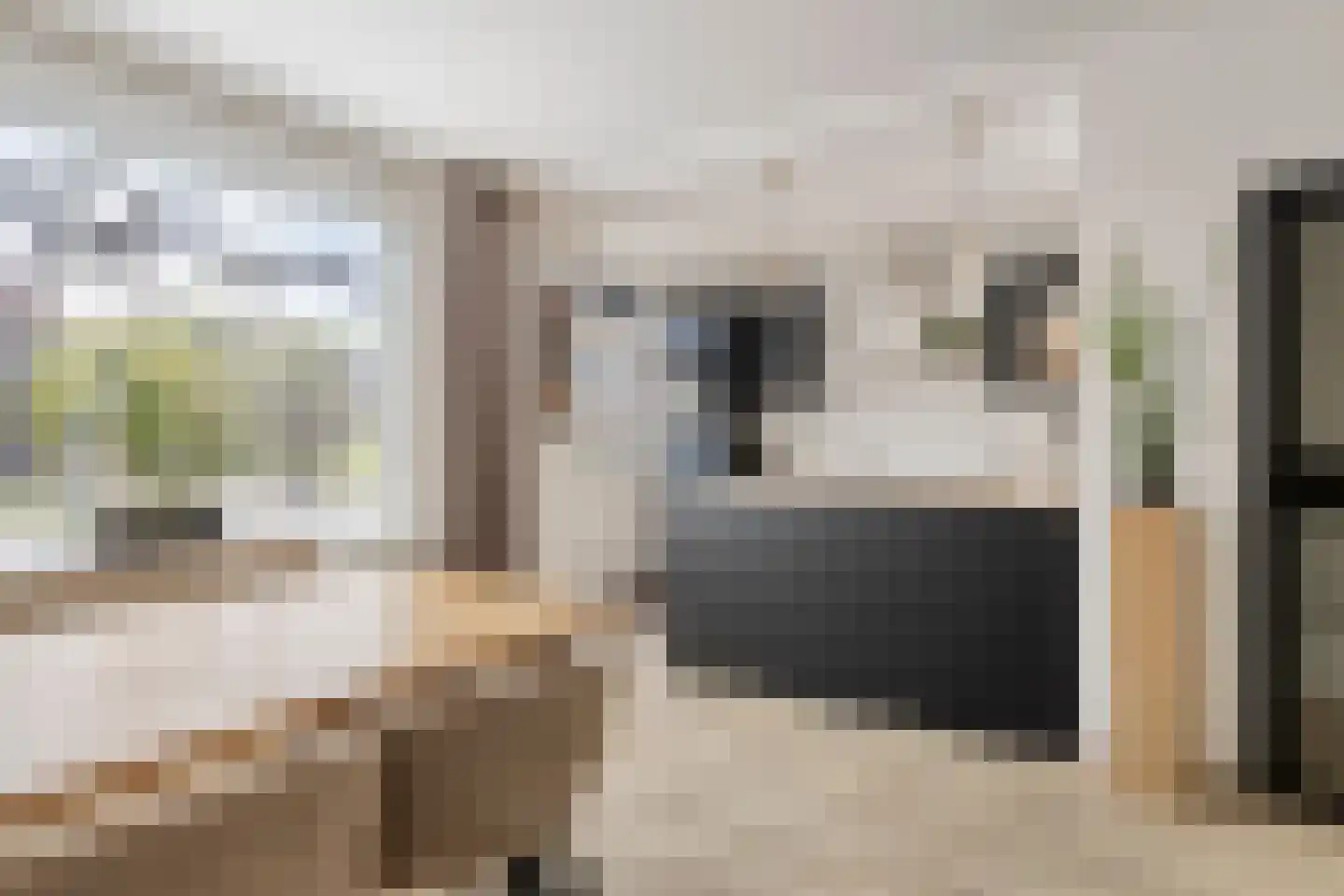 Meeuwenweg 1 Goes thumbnail 17