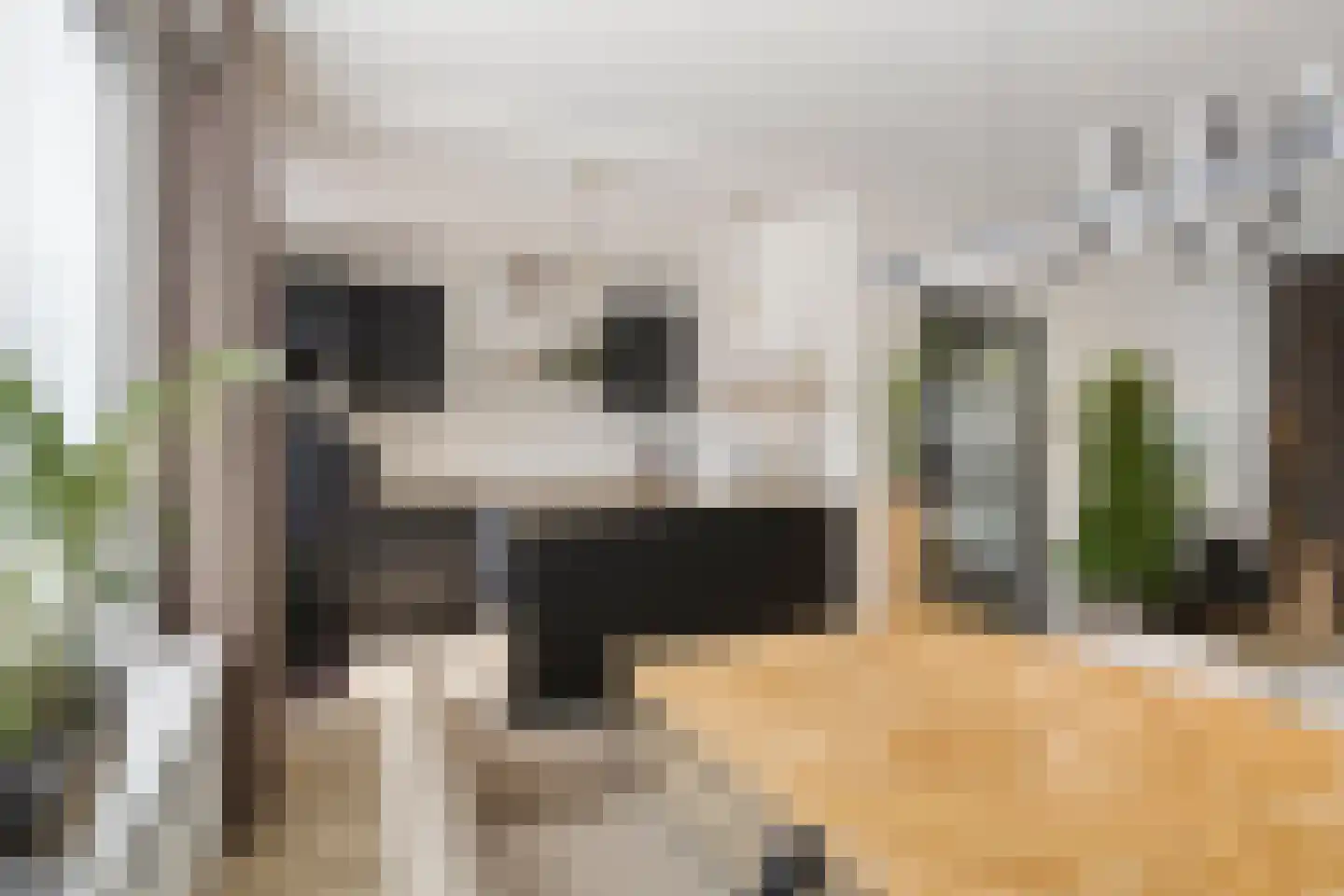 Meeuwenweg 1 Goes thumbnail 18