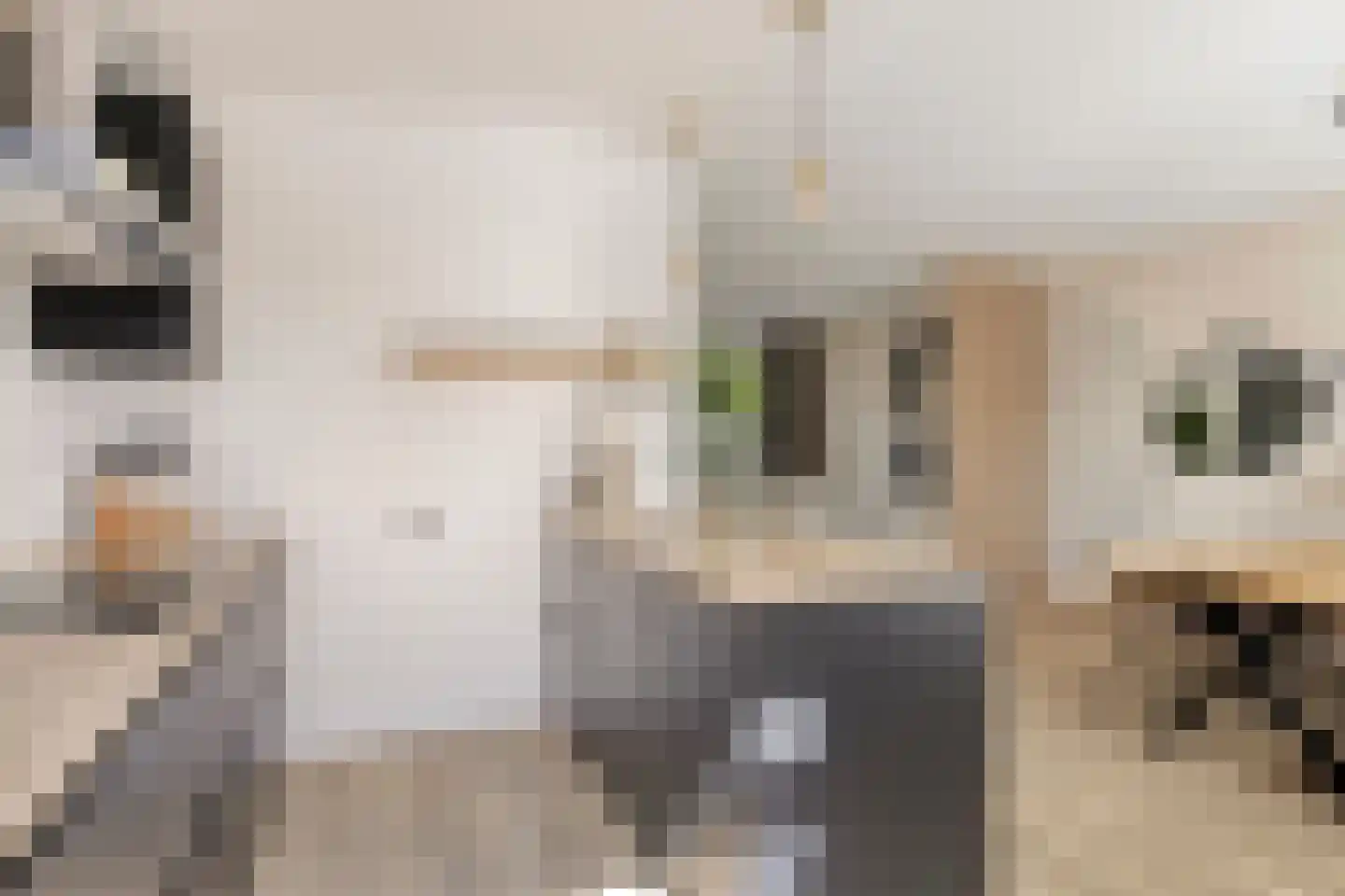 Meeuwenweg 1 Goes thumbnail 20