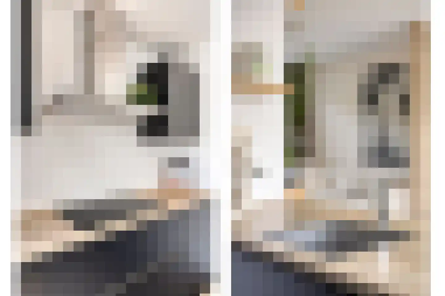 Meeuwenweg 1 Goes thumbnail 22