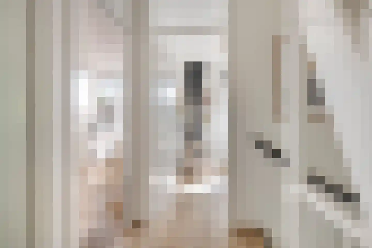 Meeuwenweg 1 Goes thumbnail 23