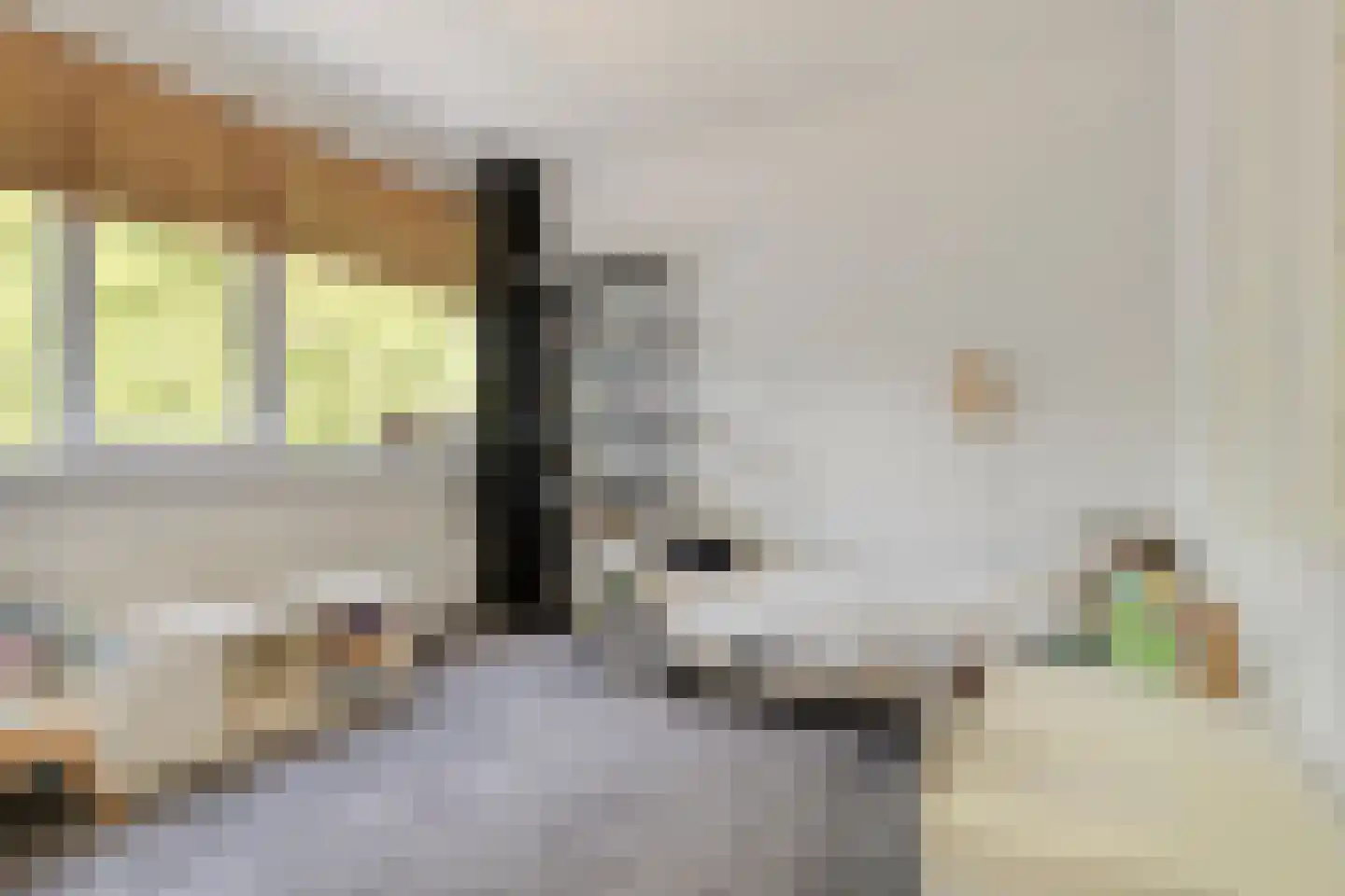 Meeuwenweg 1 Goes thumbnail 27