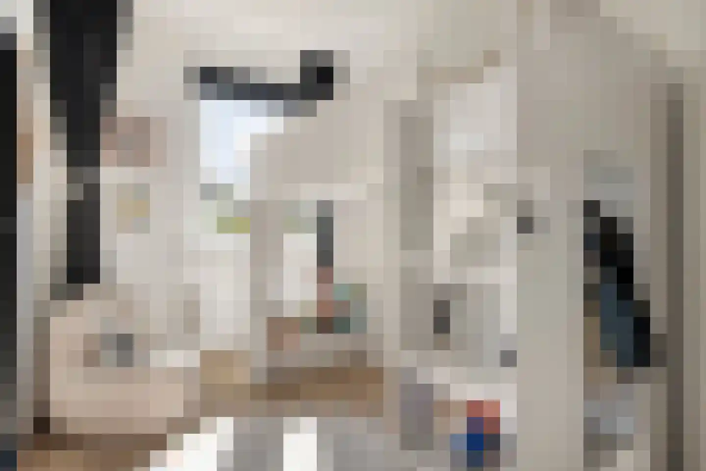 Meeuwenweg 1 Goes thumbnail 30