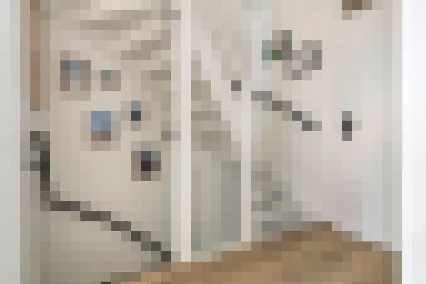 Meeuwenweg 1 Goes thumbnail 34