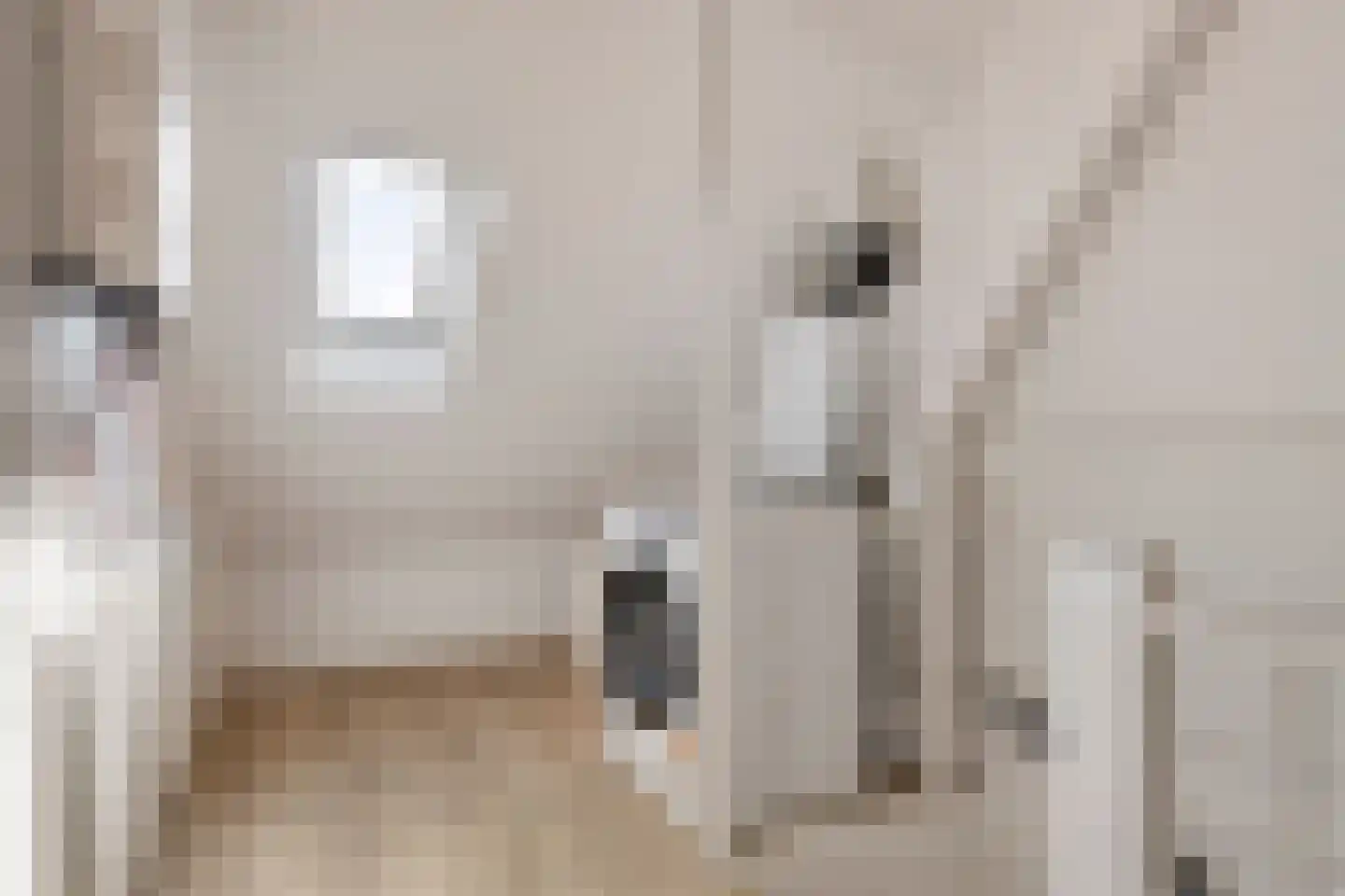 Meeuwenweg 1 Goes thumbnail 36