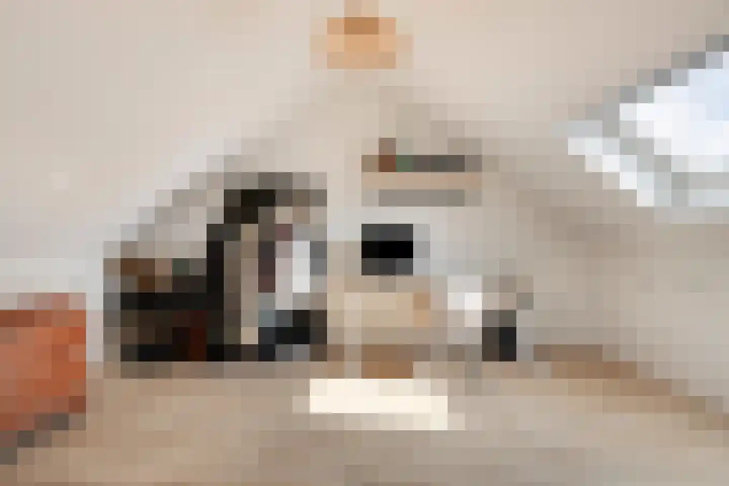 Meeuwenweg 1 Goes thumbnail 37