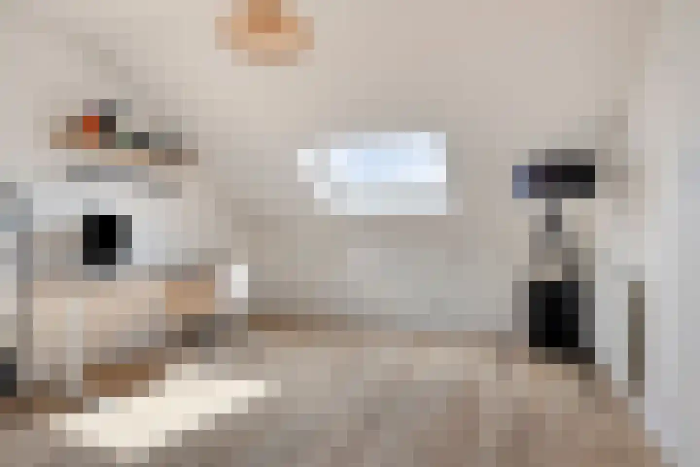 Meeuwenweg 1 Goes thumbnail 38