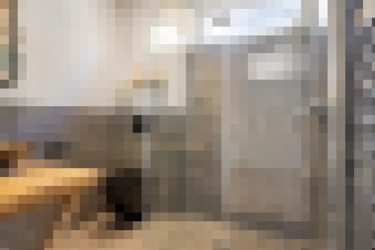 Meeuwenweg 1 Goes thumbnail 4