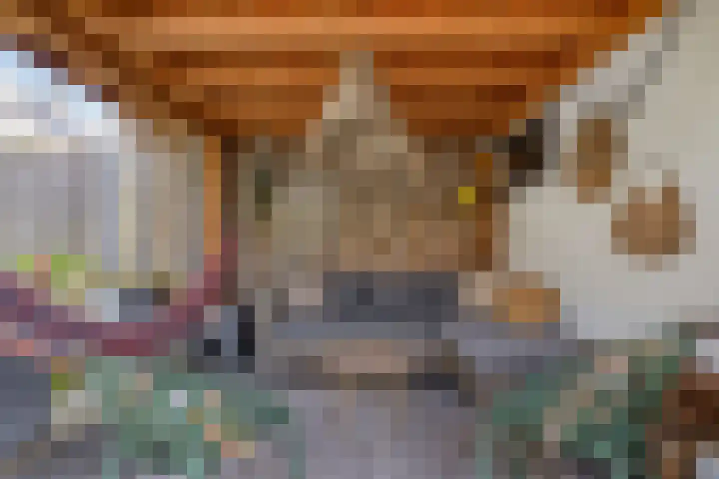 Meeuwenweg 1 Goes thumbnail 48
